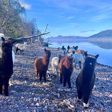 Balachladaich Loch Ness B&B Dores Exterior foto