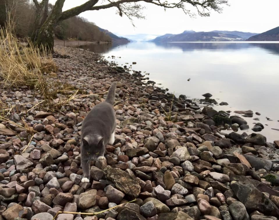 Balachladaich Loch Ness B&B Dores Exterior foto