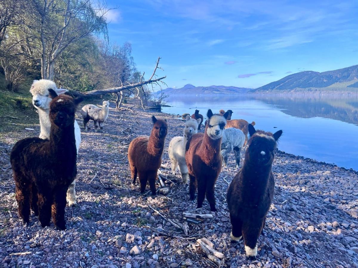 Balachladaich Loch Ness B&B Dores Exterior foto